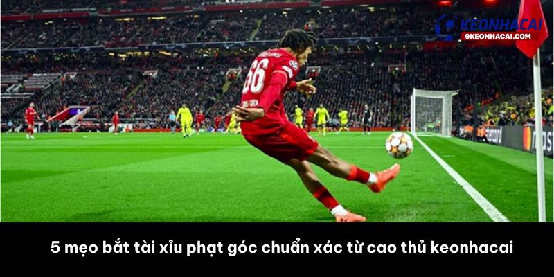 5 mẹo bắt tài xỉu phạt góc chuẩn xác từ cao thủ keonhacai 