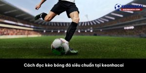 Cách đọc kèo bóng đá