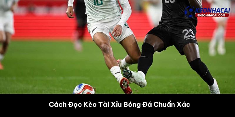 Cách Đọc Kèo Tài Xỉu Bóng Đá Chuẩn Xác 