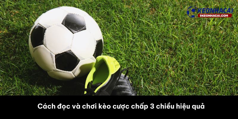 Cách đọc và chơi kèo cược chấp 3 chiều hiệu quả
