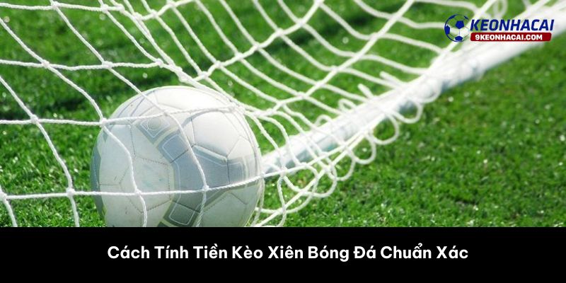Cách Tính Tiền Kèo Xiên Bóng Đá Chuẩn Xác 