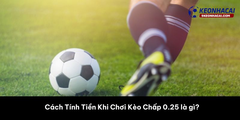 Cách Tính Tiền Khi Chơi Kèo Chấp 0.25 là gì?