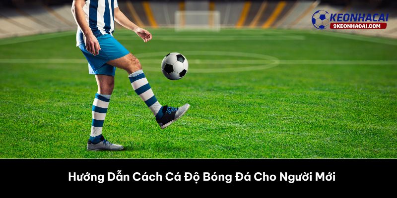 Hướng Dẫn Cách Cá Độ Bóng Đá Cho Người Mới 