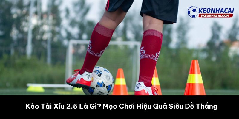 kèo tài xỉu 2.5 là gì