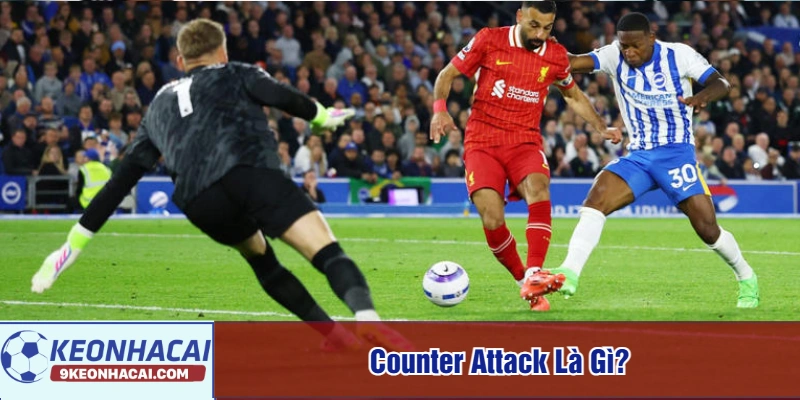 Counter attack là gì