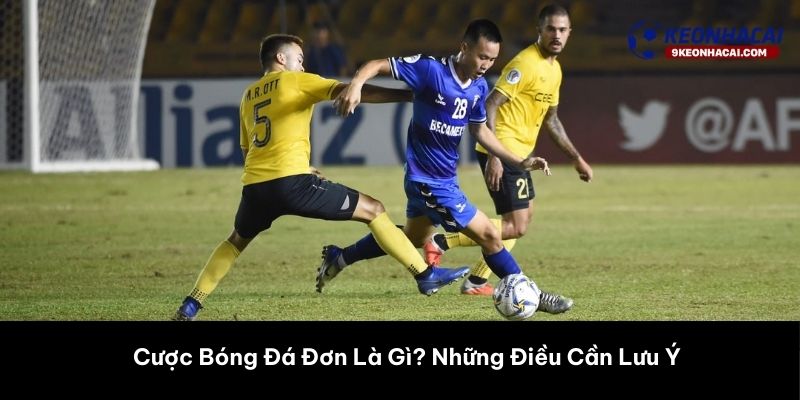 Cược Bóng Đá Đơn Là Gì? Những Điều Cần Lưu Ý