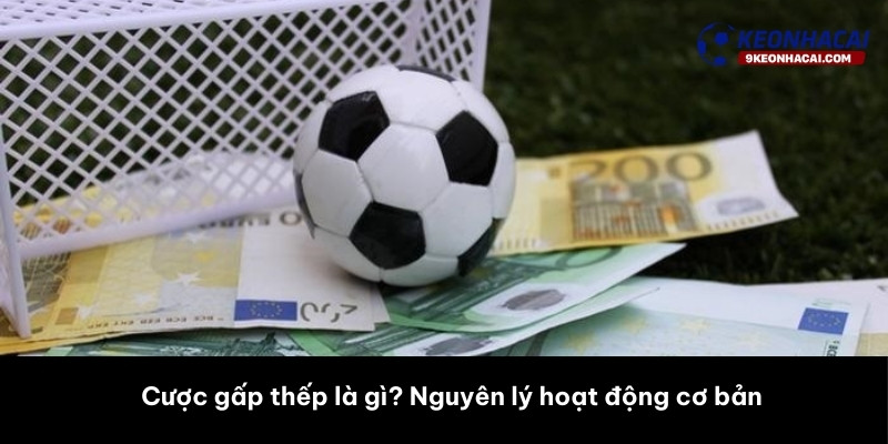 Cược gấp thếp là gì? Nguyên lý hoạt động cơ bản 