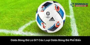 Odds Bóng Đá Là Gì? Các Loại Odds Bóng Đá Phổ Biến