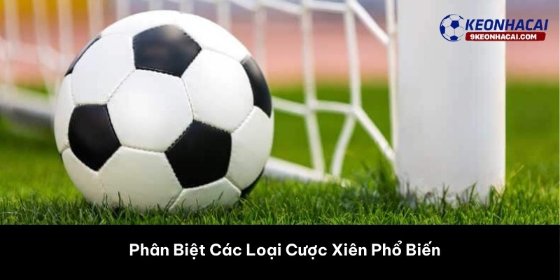 Phân Biệt Các Loại Cược Xiên Phổ Biến 