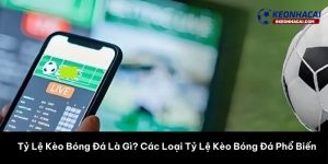 Tỷ Lệ Kèo Bóng Đá Là Gì? Hướng Dẫn Chi Tiết Cho Người Mới