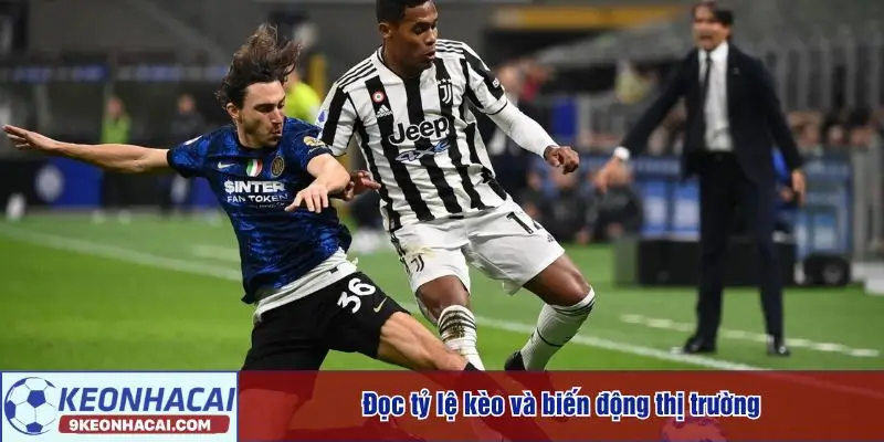 Đọc tỷ lệ kèo và biến động thị trường