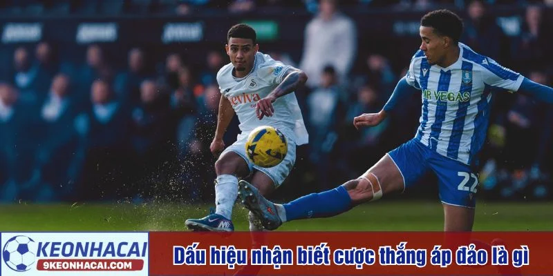 Nhận biết đúng loại kèo để xây dựng chiến lược hiệu quả