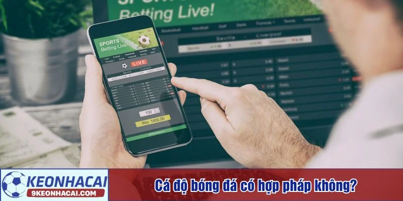 Tìm hiểu cá độ bóng đá có hợp pháp không